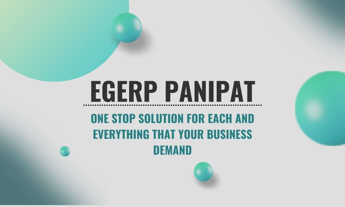 Egerp Panipat: A Company to Boost Business Online
